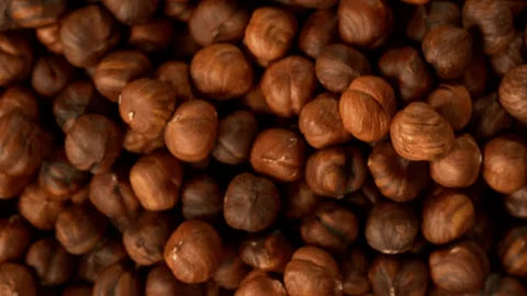 Premium Hazelnuts Exporter Pakistan | Bulk Wholesale Supplier for B2B Importers | Raw, Roasted, Blanched & Shelled Hazelnuts | Whole & Broken Kernels for Snacks, Chocolates & Bakery | 20ft & 40ft Global Container Shipping (USA, UK, EU, GCC)