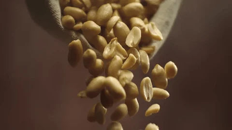 Premium Cashew Nuts Exporter Pakistan | Bulk Wholesale Supplier for B2B Importers | Raw, Roasted, Salted & Processed Cashews | Grade W180, W210, W240, W320 | 20ft & 40ft Global Container Delivery (USA, UK, EU, GCC)