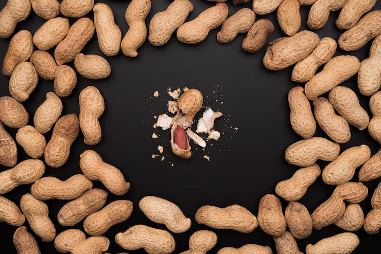 Premium Peanuts Exporter Pakistan | Bulk Wholesale Supplier for B2B Importers | Red Skin, Blanched, Roasted, Bold & Java Peanuts | Groundnuts for Oil Extraction, Snacks & Food Industry | 20ft & 40ft Global Container Delivery (USA, UK, EU, GCC)